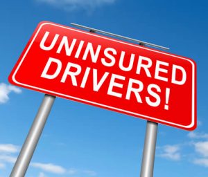 uninsured drivers sign